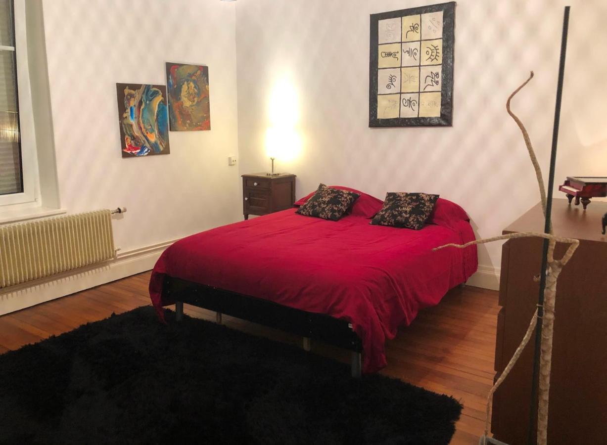 Apartment Le Campus Victoria Ii - Train Station & Isabey St - 75m2 Nancy