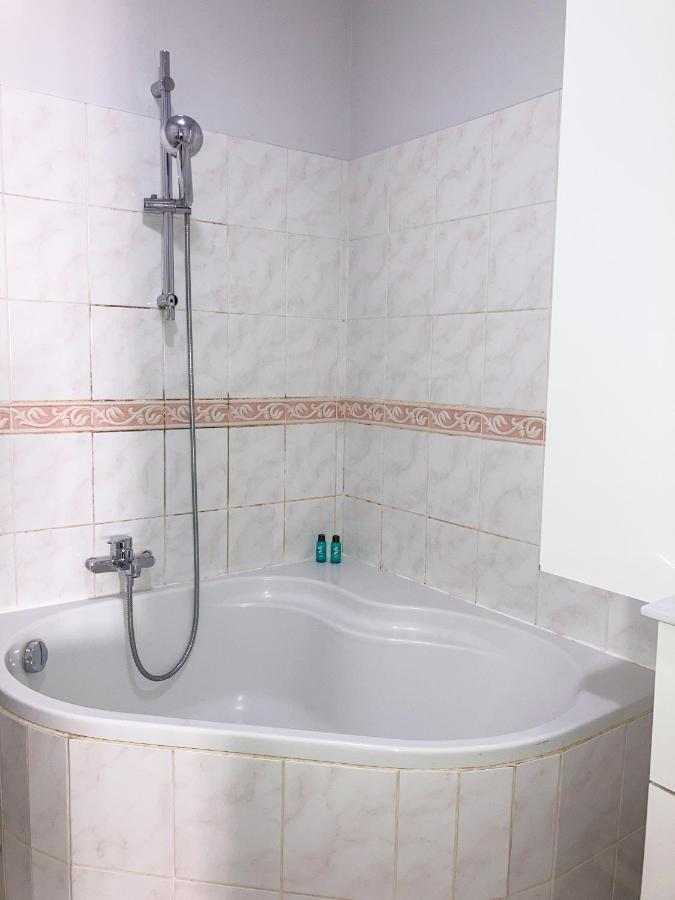 Le Campus Victoria Ii - Train Station & Isabey St - 75m2 Apartment Nancy